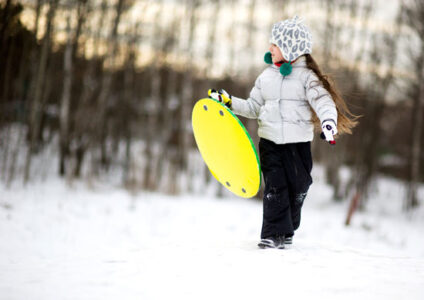 Saucer Sleds for Easy Moving Image